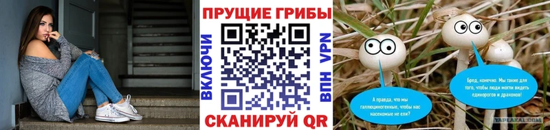 ссылка на мегу tor  Гурьевск  Галлюциногенные грибы мицелий  продажа наркотиков 
