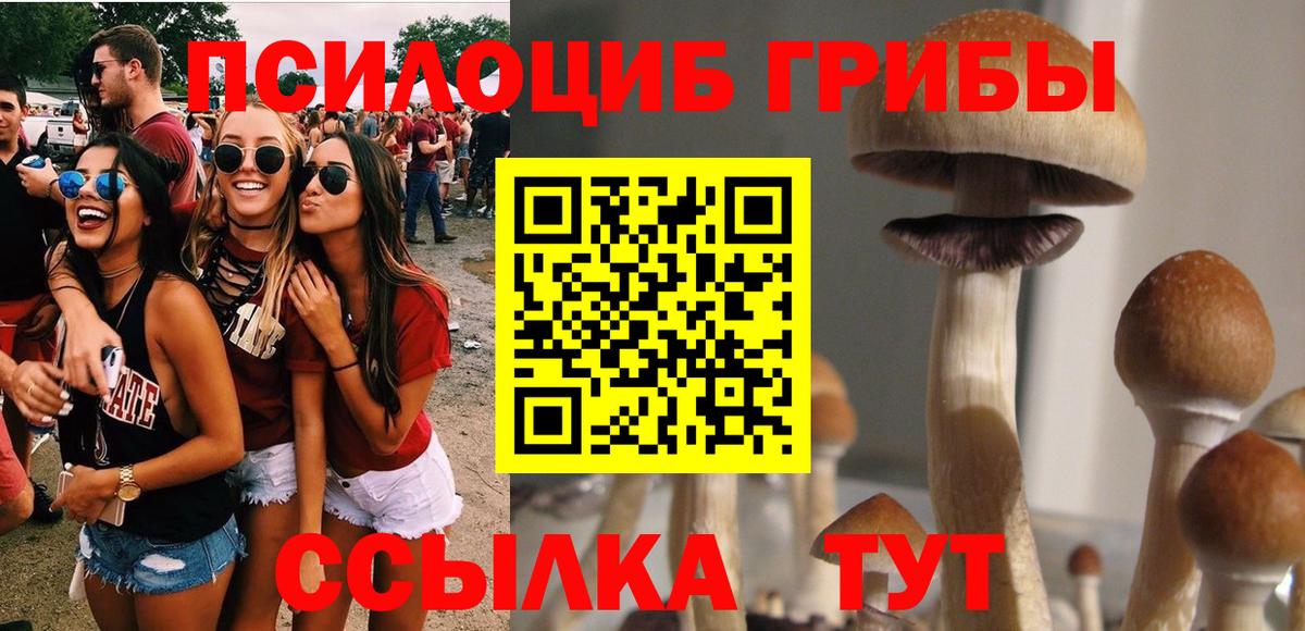 Псилоцибиновые грибы Psilocybine cubensis Гурьевск