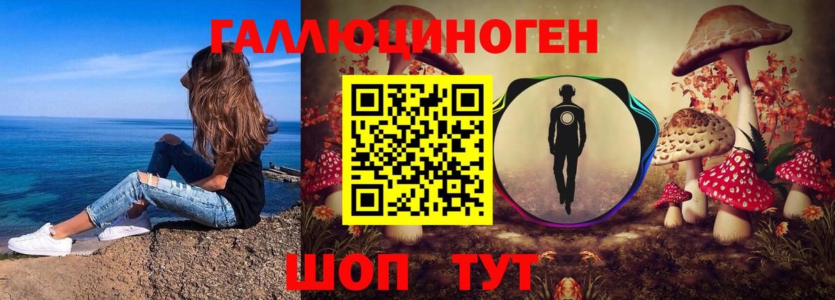 Гурьевск  Галлюциногенные грибы Magic Shrooms  купить закладку  Вход с VPN 