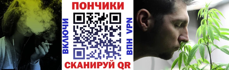 MEGA сайт  Гурьевск  Шишки марихуана конопля 
